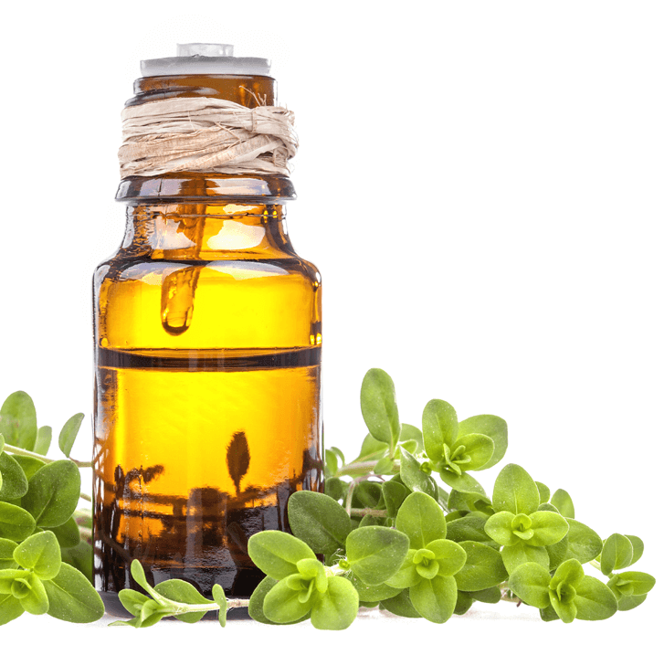 Marjoram Oil