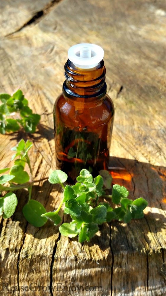 Egypt Origanum Majorana Marjoram Oil, For Cosmetic