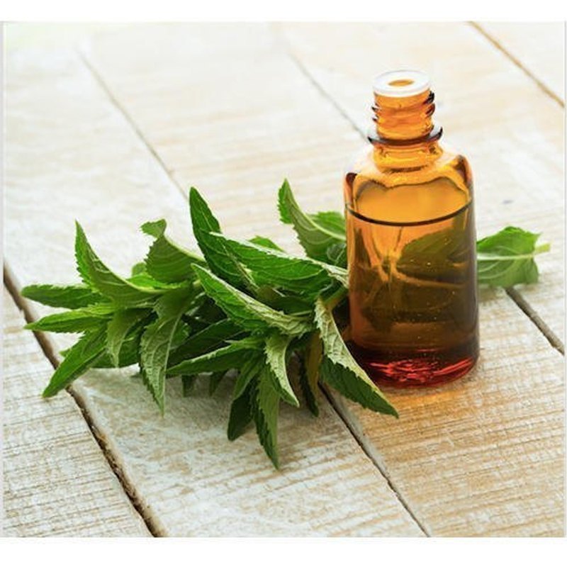 Vaibhav Perfumery Liquid Costus Root Oil, 10 - 50 Ml