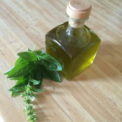 Melaleuca Leucadendron Cajuput Oil