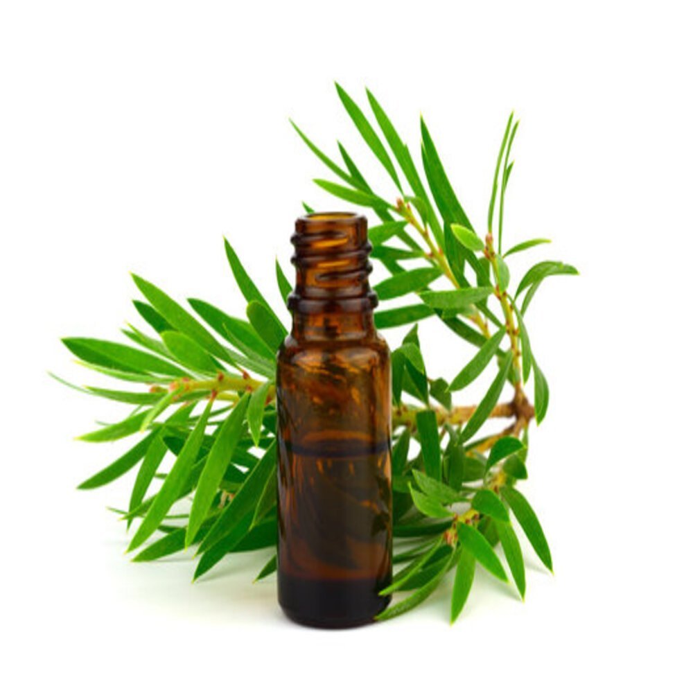 Cajeput Oil