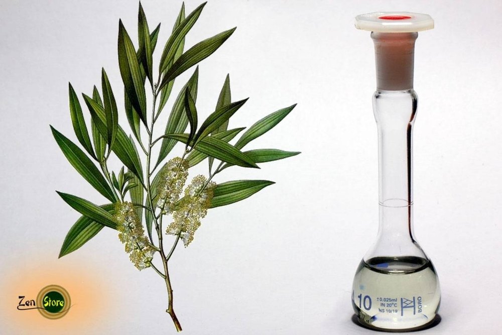 Melaleuca Leucadendra Cajeput Essential Oil, For Cosmetic