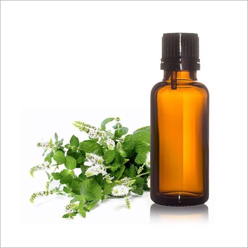 Melaleuca Leucadendra Cajuput Oil