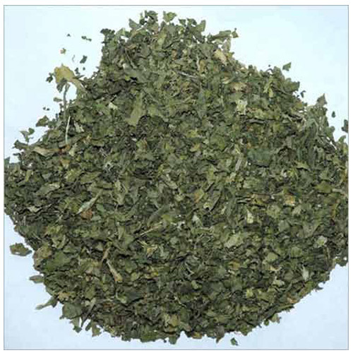 A Grade Dehydrated Coriander Leaves, Plastic Bag, Packaging Size: 5 Kg