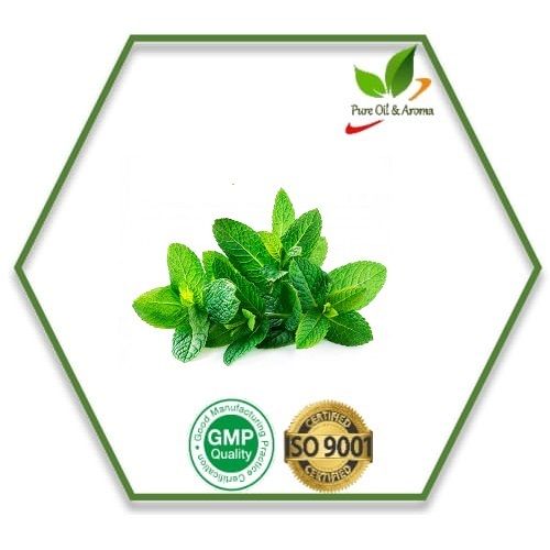 Cornmint Oil/ Peppermint Oil/ Mentha arvensis