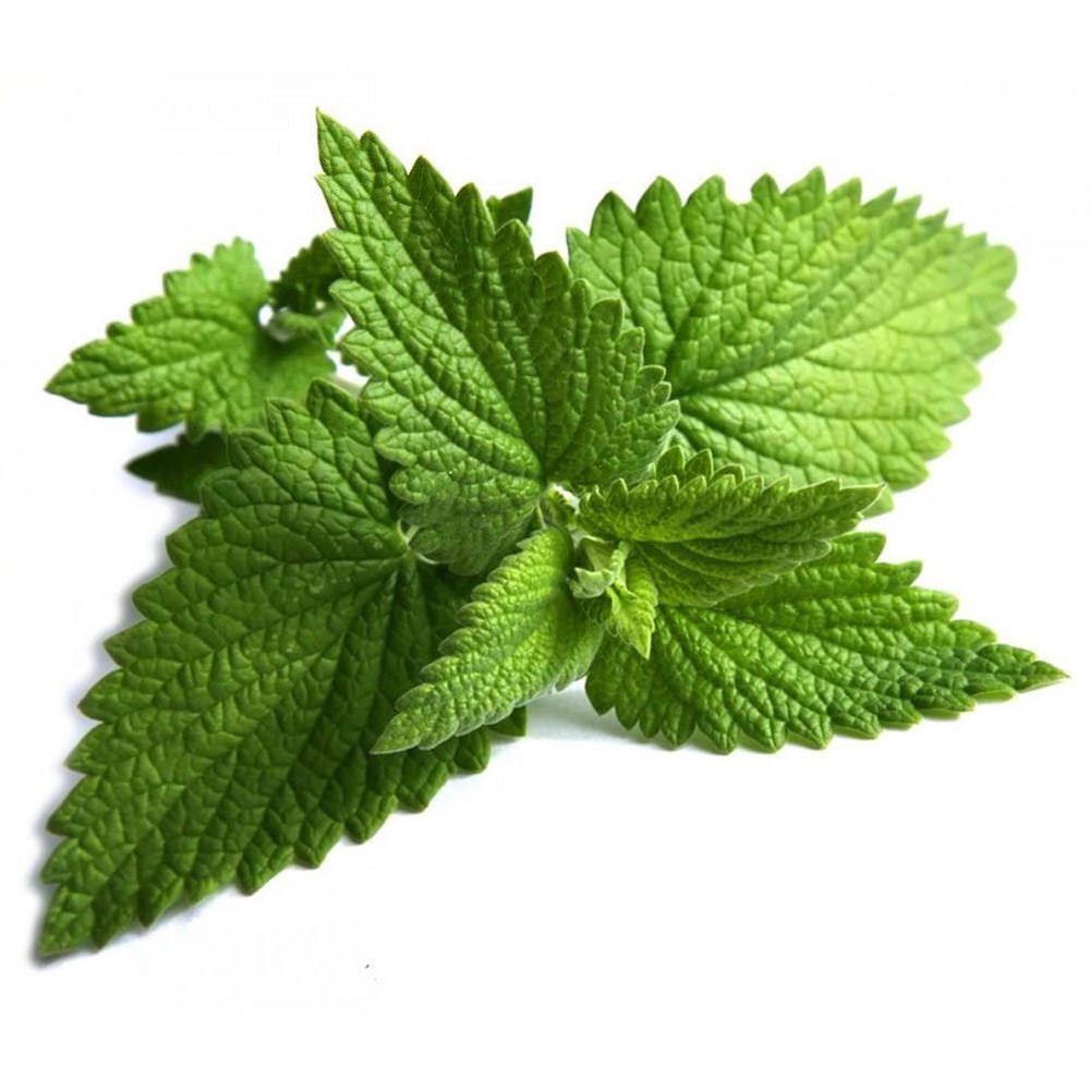 Mentha Arvensis Oil