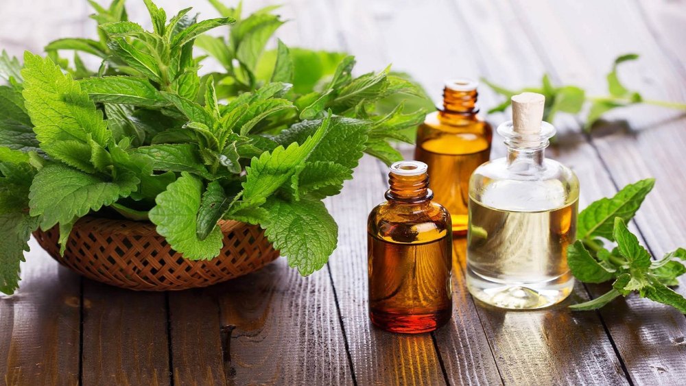 Mentha Arvensis Oil, Purity: 100%, 1 Kg