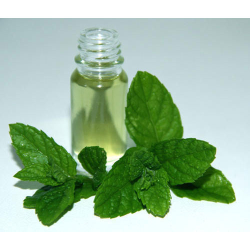Mentha Arvensis Oil