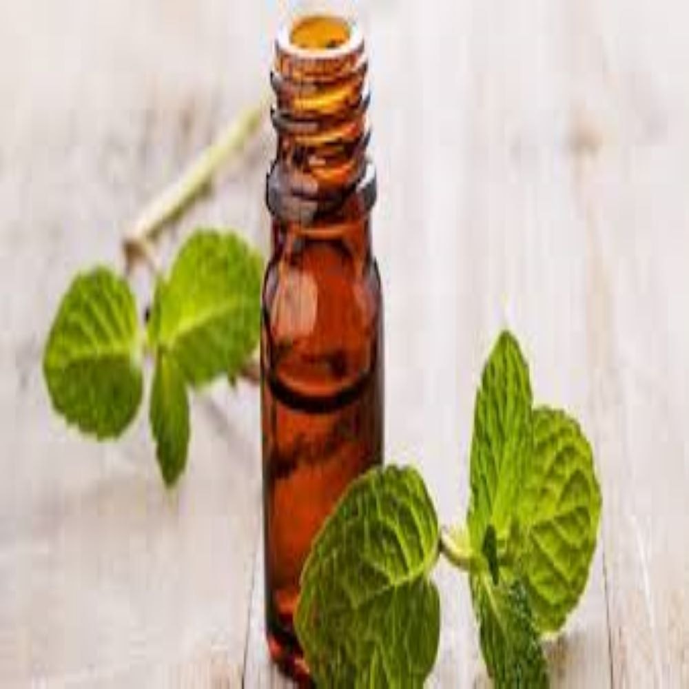 Cornmint Oil