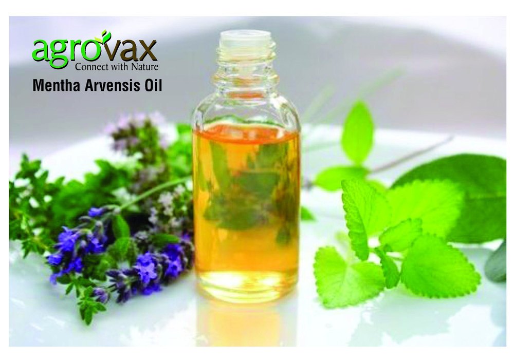 Mentha Arvensis Oil, Purity: 100%, 25 Kg To 180 Kg
