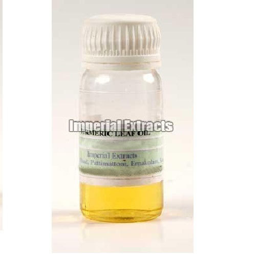 Steam Distillation Turmeric Leaf Oil