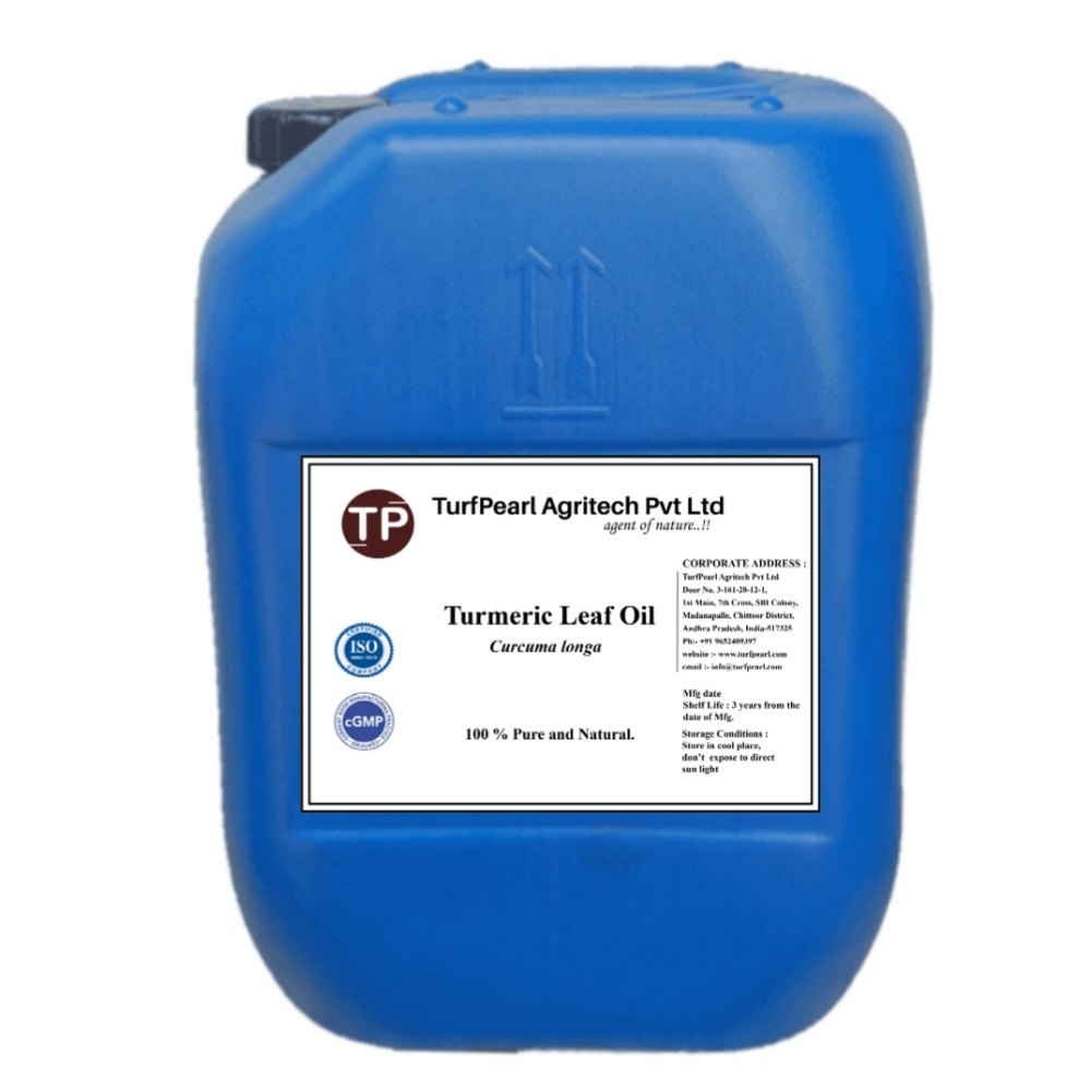 Turmeric Leaf Oil, Packaging Size: 30 Kg