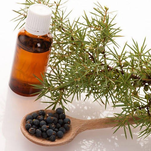Juniper berry oil, For Cosmetic