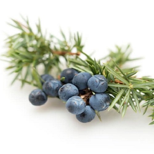 100% Juniper Berry Essential Oil