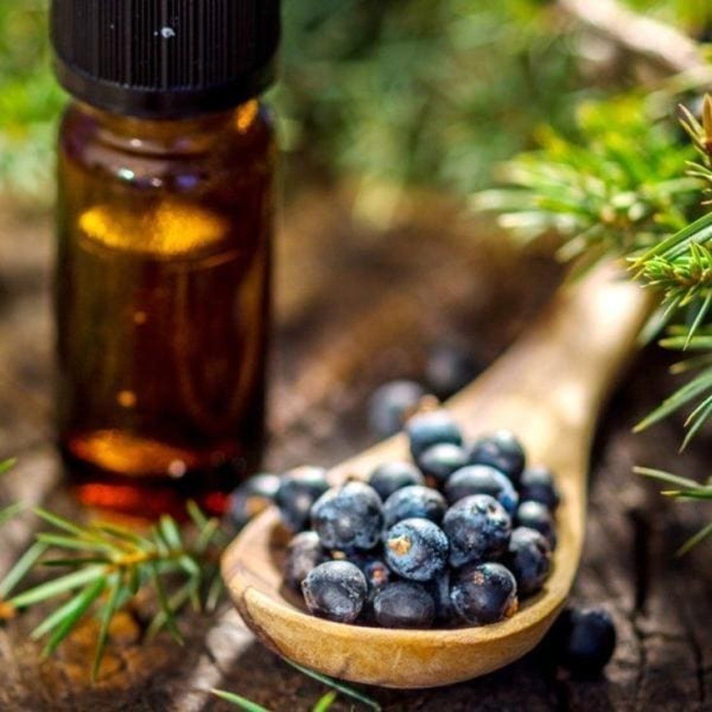 Sivaroma Juniper Berry Oil, Packaging Type: Plastic Bottle, Packaging Size: 250ml