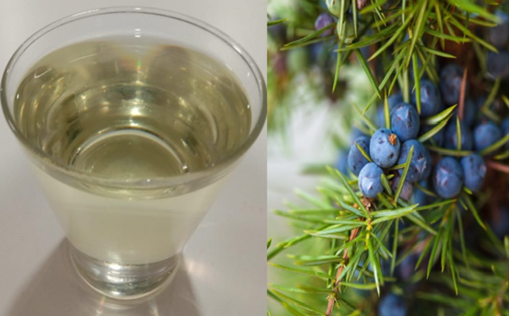 Juniper Berry Essential Oil