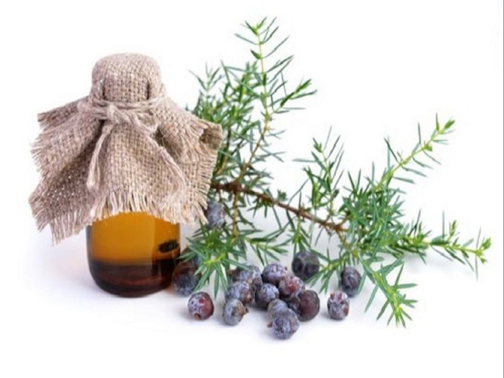 Juniper Oil