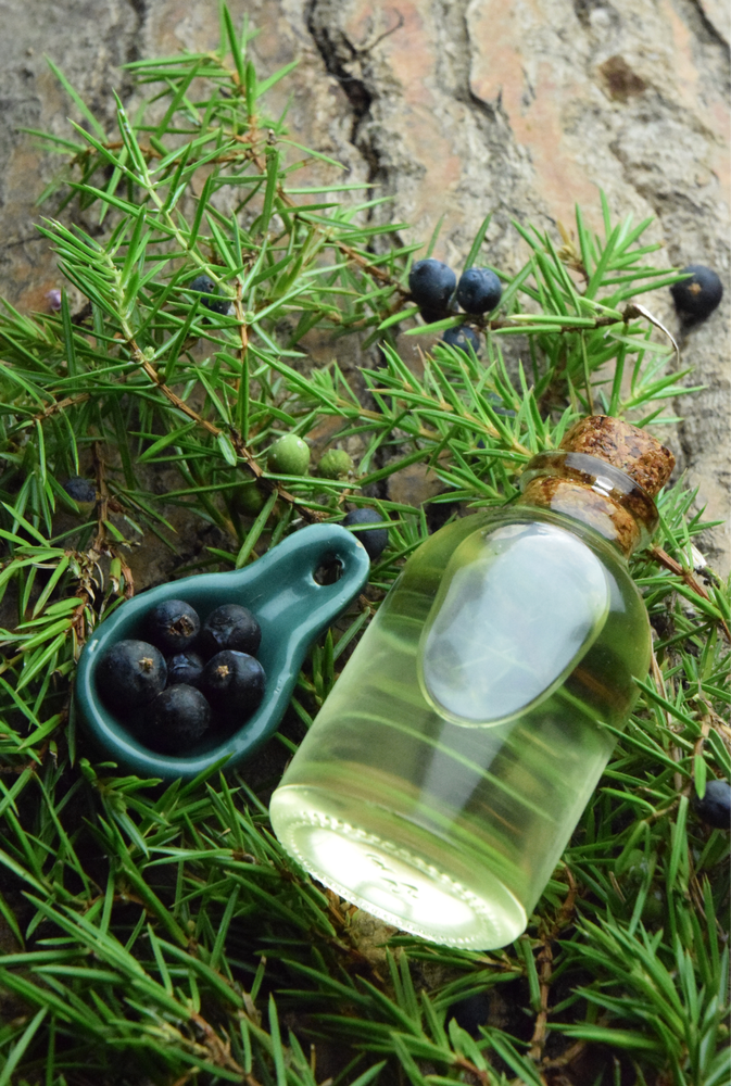 Yellowish Juniper Berry Oil