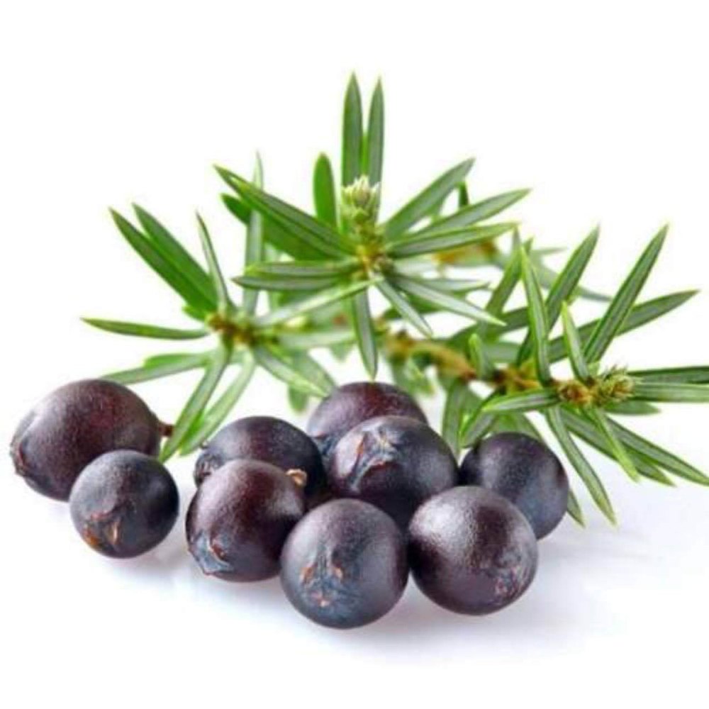 99.9% Juniper Berry Oils