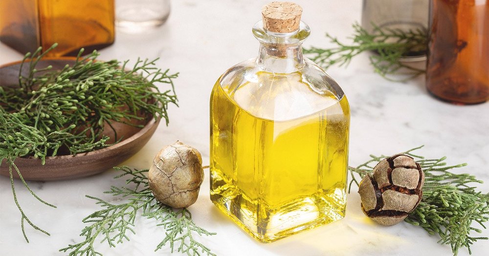 100% Cupressus sempervirens Cypress Oil, For Multi Purpose