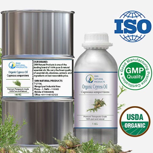 Cupressus sempervirens Twigs Organic Cypress Oil, Natural, for Aromatherapy