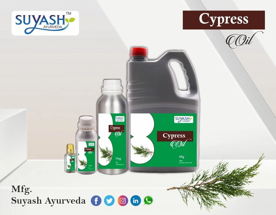 Cupressus Sempervirens Cypress Oil, For Medicine