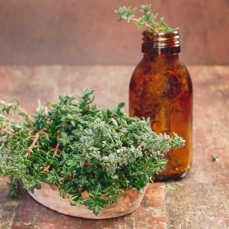 Leaves Thyme Oil
