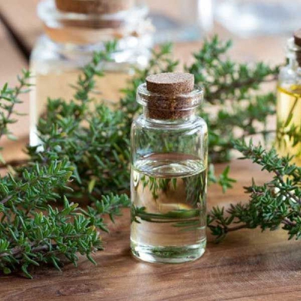 Steam Distillation Thyme Essential Oil, For Food And Cosmetic