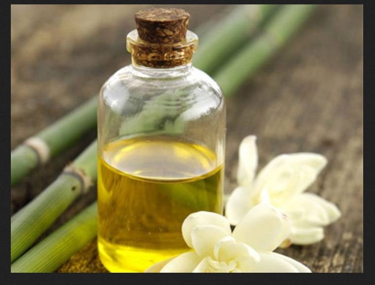 Ginger Lily Oil, Packaging Size: 100 Ml