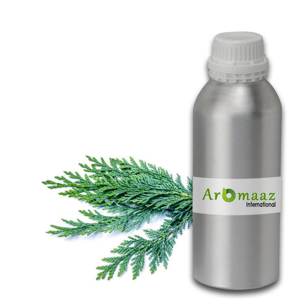 Steam Distillation Cedar Leaf Essential oil, For Pharma, Leaves