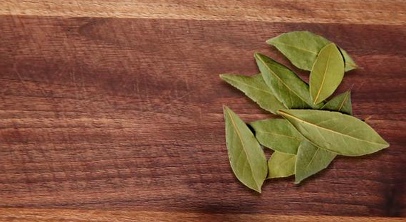 Steam Distiallation Bey Leaf Oil
