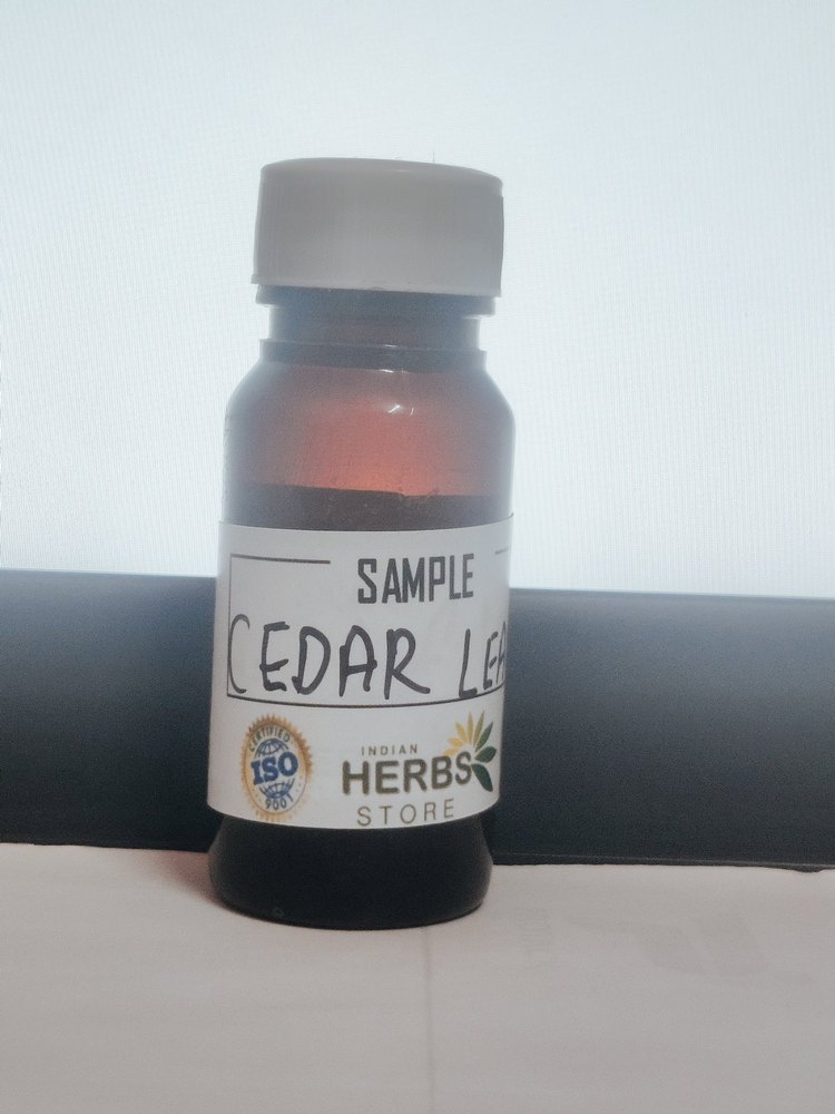 Steam Distillation Cedar Leaf Oil