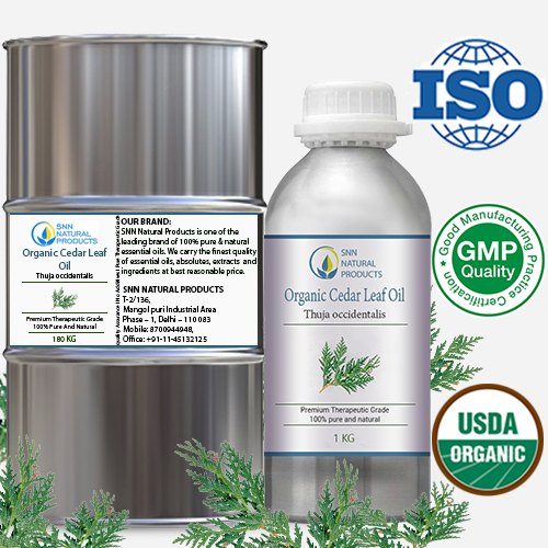 Steam Distilled Organic Cedar Leaf Oil, For Aromatherapy & Pharmaceuticals, Leaves
