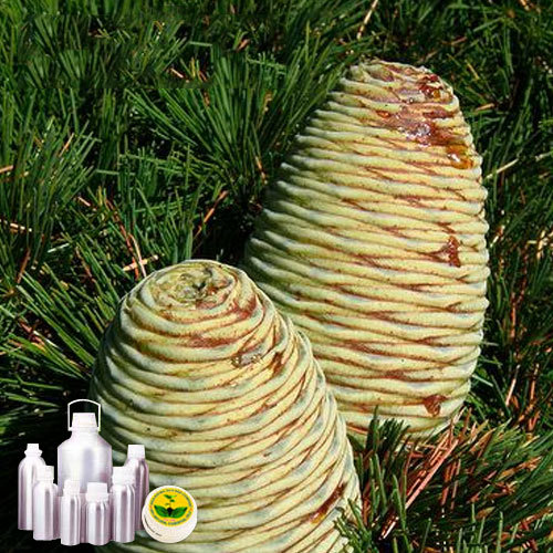 Atlas Cedar oil