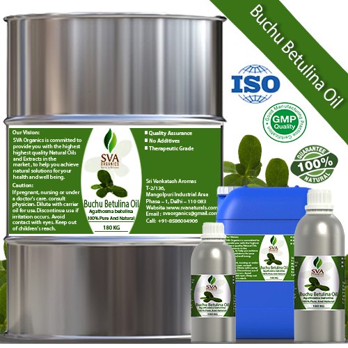 Buchu Betulina Oil