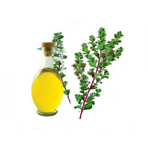 John Aromas Liquid Organic Betulina Oil, For Pharma, 100 Ml