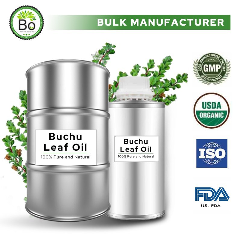 Agathosma Betulina Buchu Leaf Oil, Pack Type: Bottle