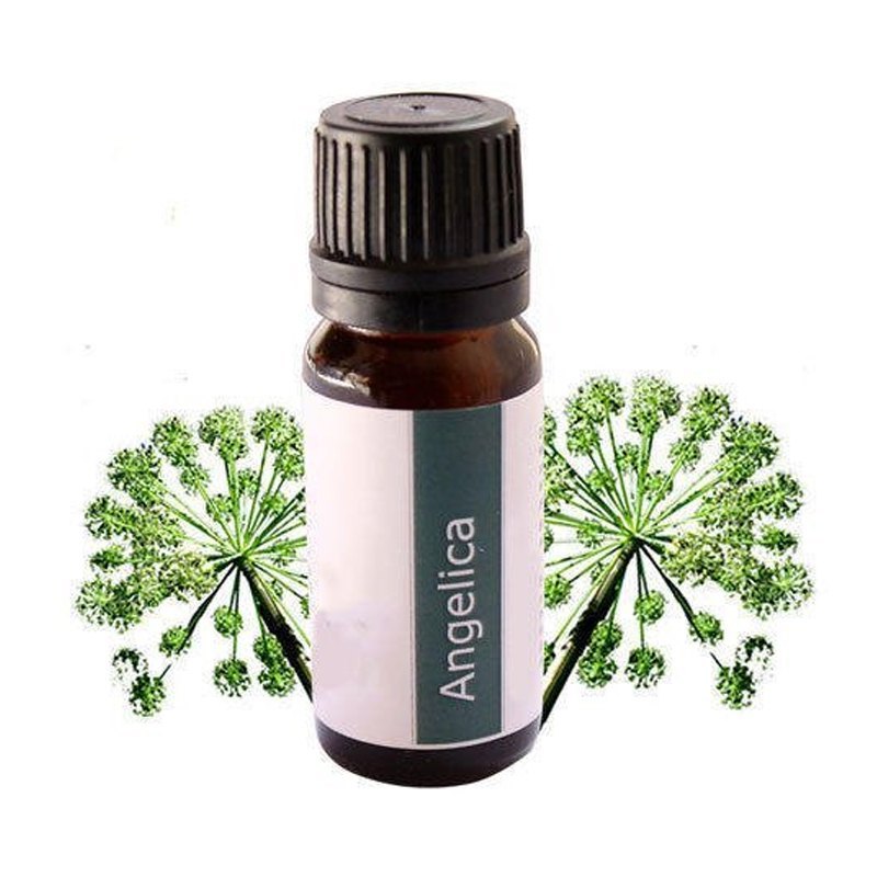 Liquid 98% Angelica Oil, For Pharma, Natural