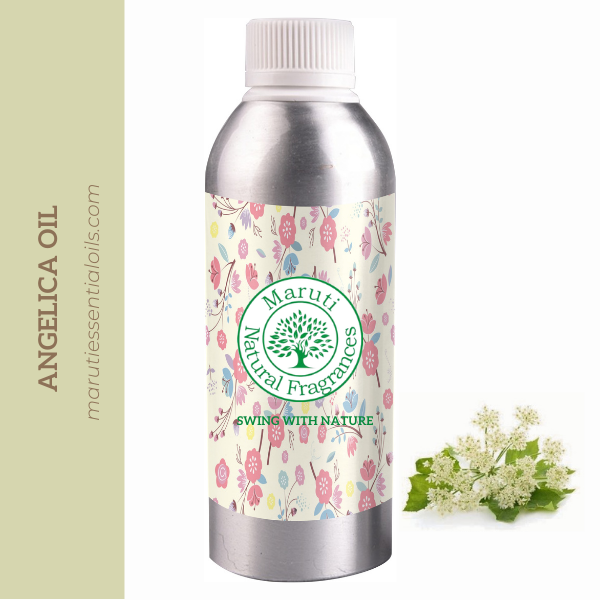 Liquid Angelica Root Oil, Packaging Type: Bottle
