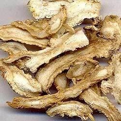 Pure Angelica Root Oil