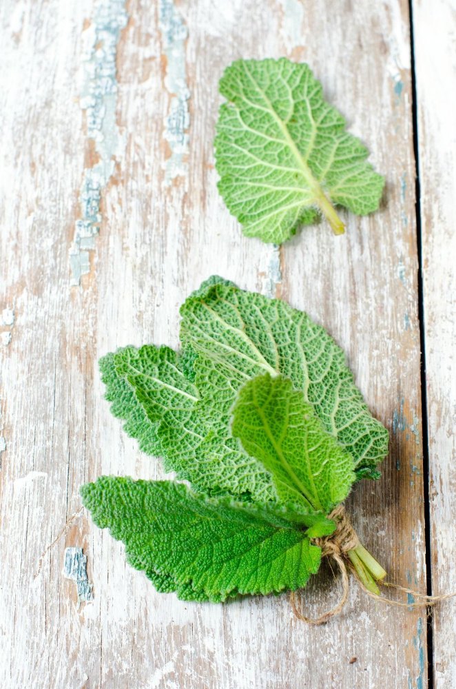 KS Essentials Sage Oil for Skin Care