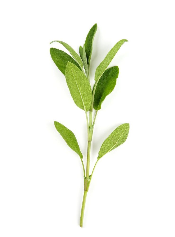 Sage Oil