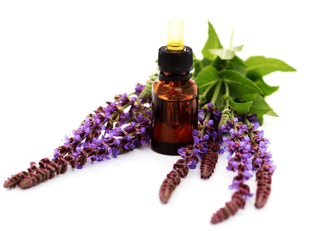 colorless Steam Distillation Sage Oil