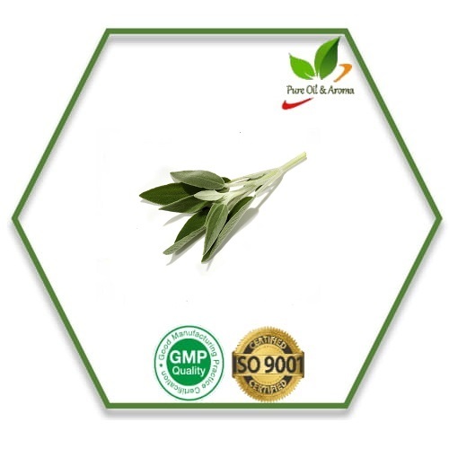 Pale Yellow Leaves Sage Oil