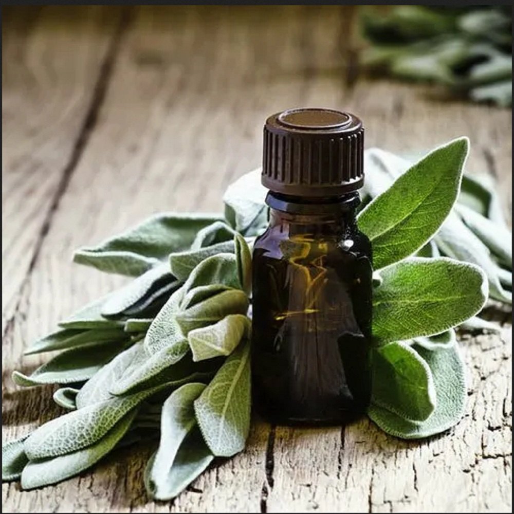 Sage Essential Oil