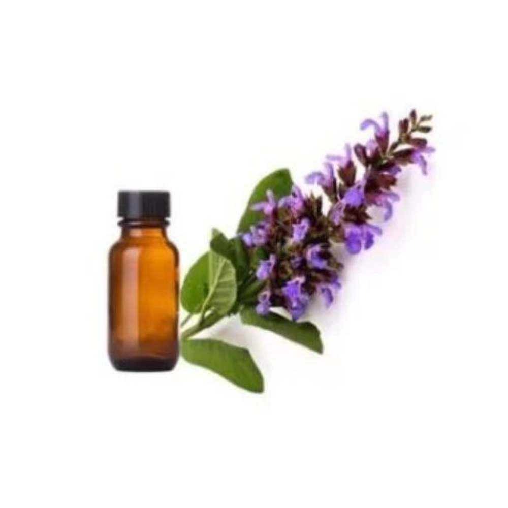 Sage Oil (Salvia officinalis L.)