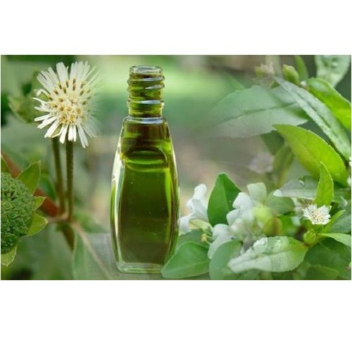 Citronella Oil