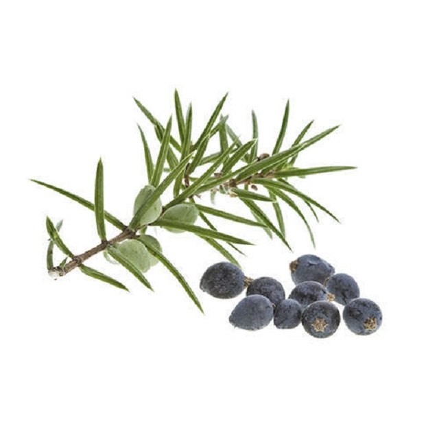 Liquid Juniperus oxycedrus Cade Essential Oil, Wood