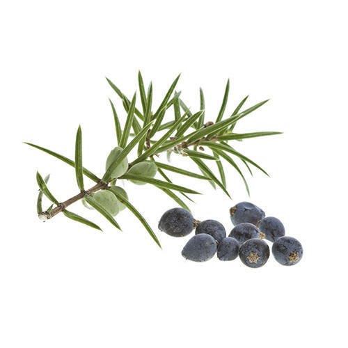 Liquid Juniperus oxycedrus Cade Oil, For Multi Purpose