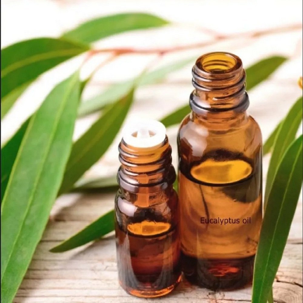 Eucalyptus Essential Oil
